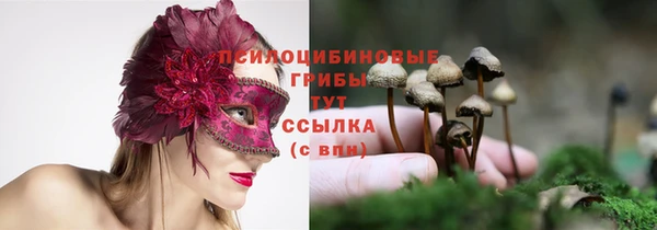 прущие крисы Усолье-Сибирское