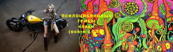 прущая мука Усмань